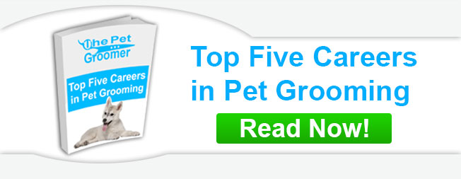 Top Five Careers in Pet Grooming