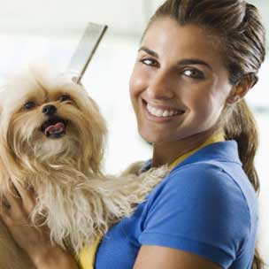 How to Become a Dog Groomer