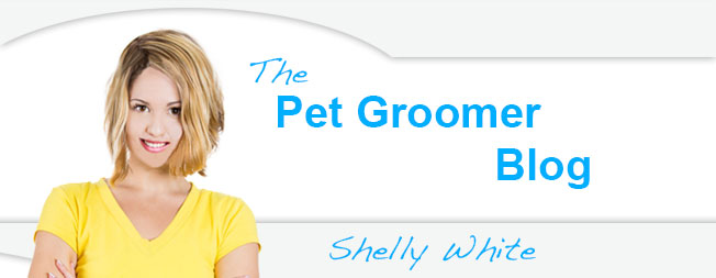 The Pet Groomer Blog